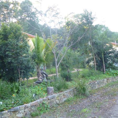 Teretre Cabins Nimbin Exterior foto