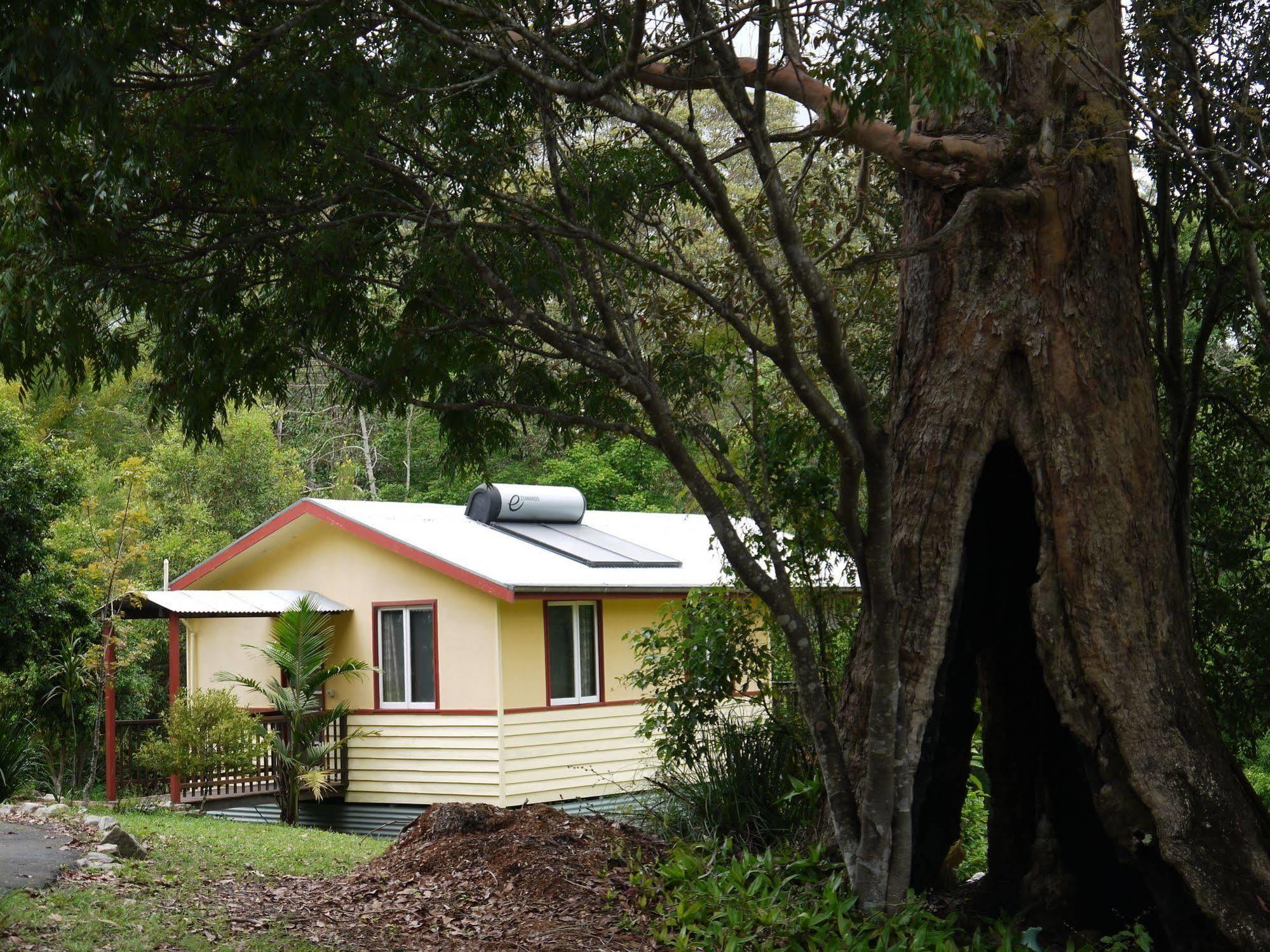 Teretre Cabins Nimbin Exterior foto